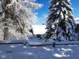 20250103_121031.jpg
