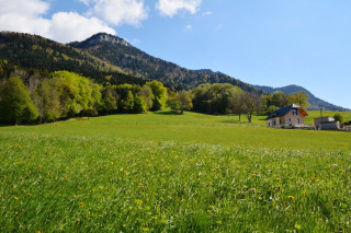 Gîte Etoile Boréale au piémont du Massif des Bauges