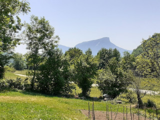 Mésanges
